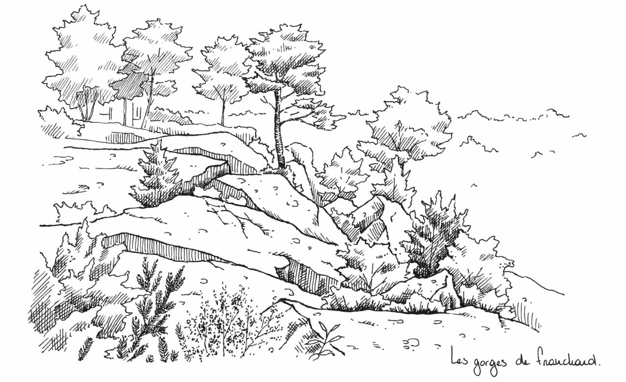Etude de paysage sur le massif forestier de Fontainebleau