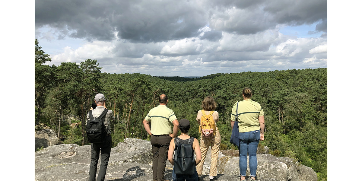 Etude de paysage sur le massif forestier de Fontainebleau