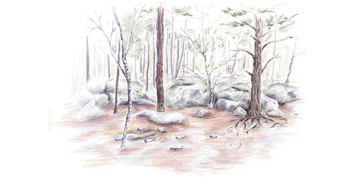 Croquis de paysage pour repenser la stratégie touristique du massif forestier de Fontainebleau
