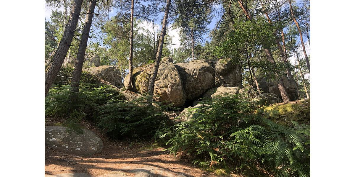 Etude de paysage sur le massif forestier de Fontainebleau