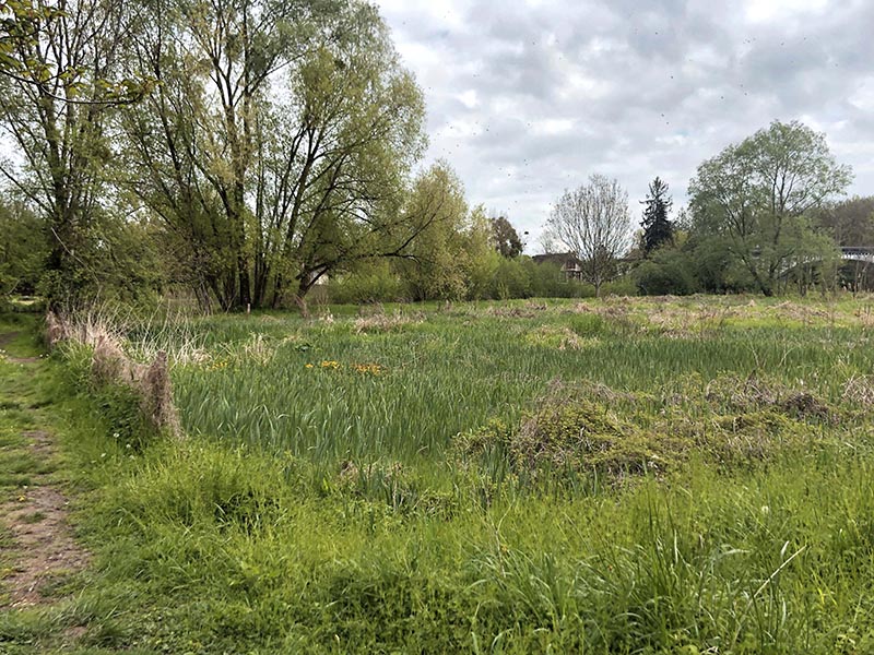 Prairie Clémenceau