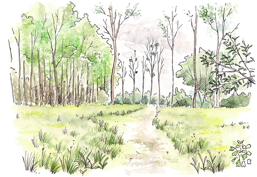 Prairie Clémenceau