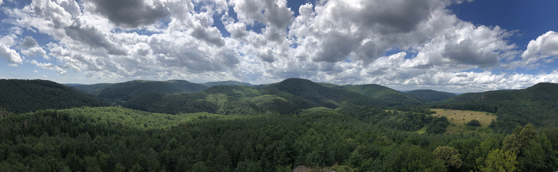 Fleckenstein