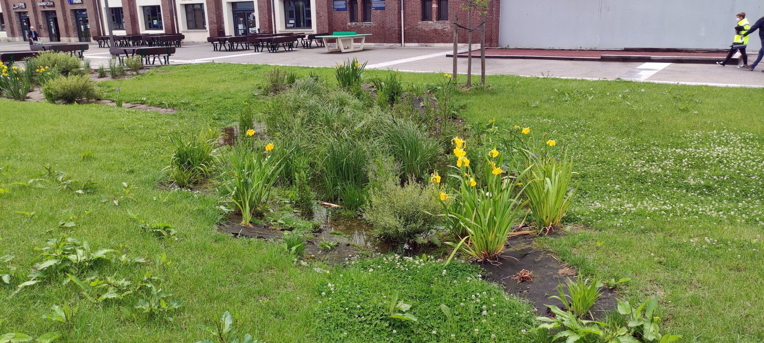 Parvis du multiplexe Dieppe,place urbaine,gestion des eaux pluviales
