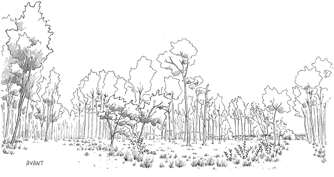 Prairie Clémenceau