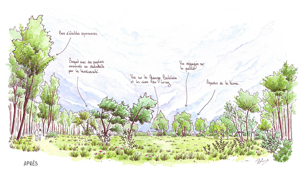 Prairie Clémenceau