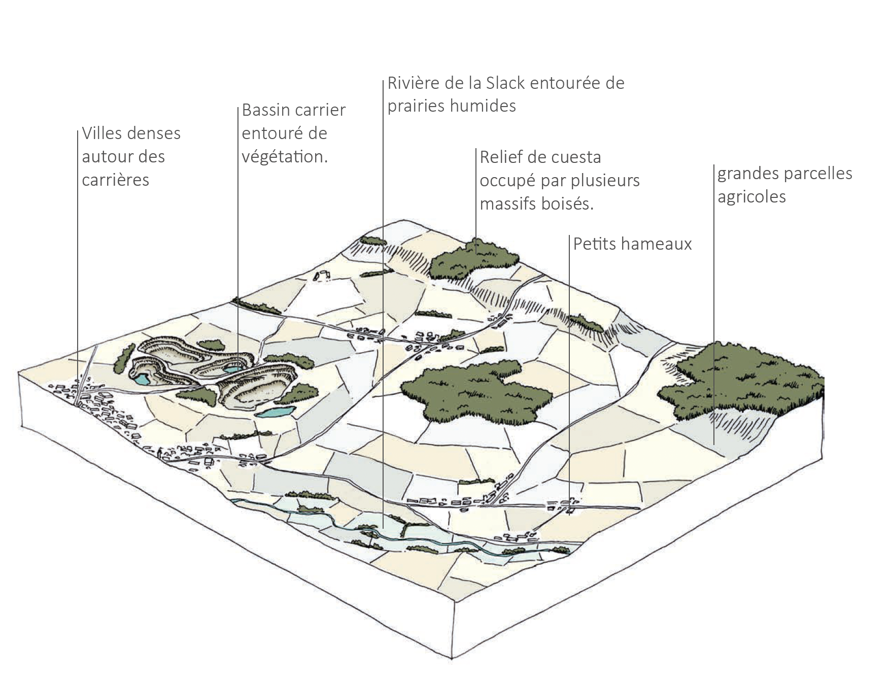évolution des paysages PNR Caps et Marais d'Opale,observatoire photographique,PNR,étude paysagère PNR
