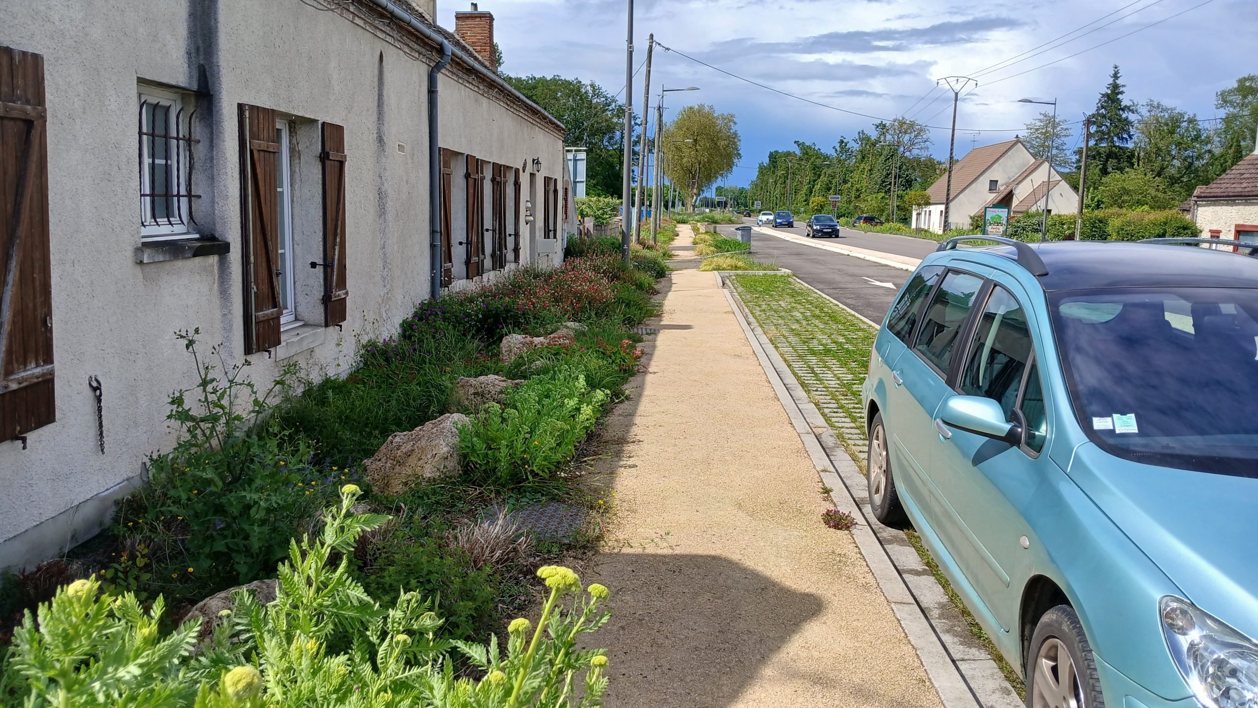 route départementale,route départementale 2007 solterre,Solterre