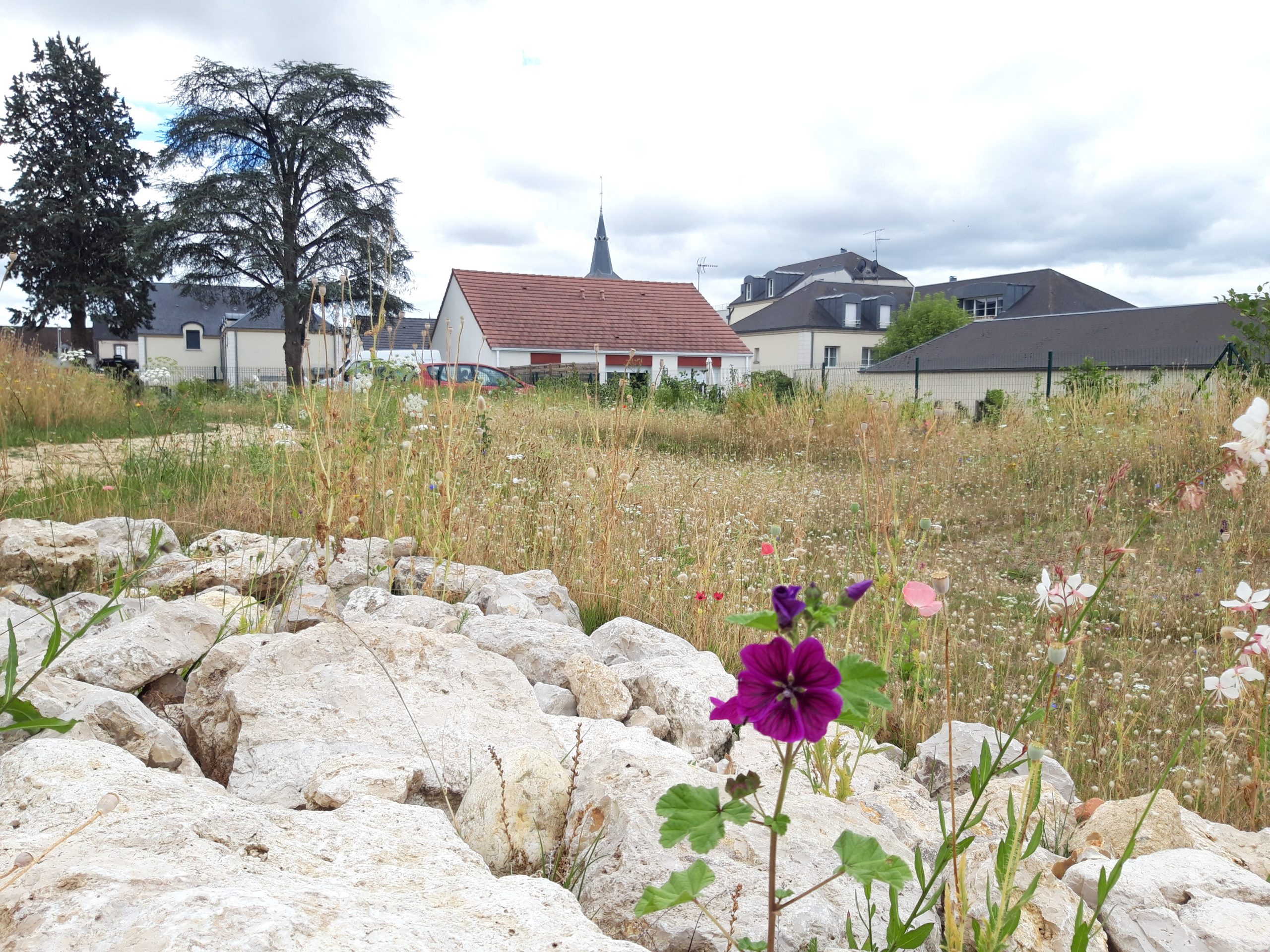 centre-ville de Villemandeur (45),requalification stationnements,route départementale,renaturation,aménagement paysager