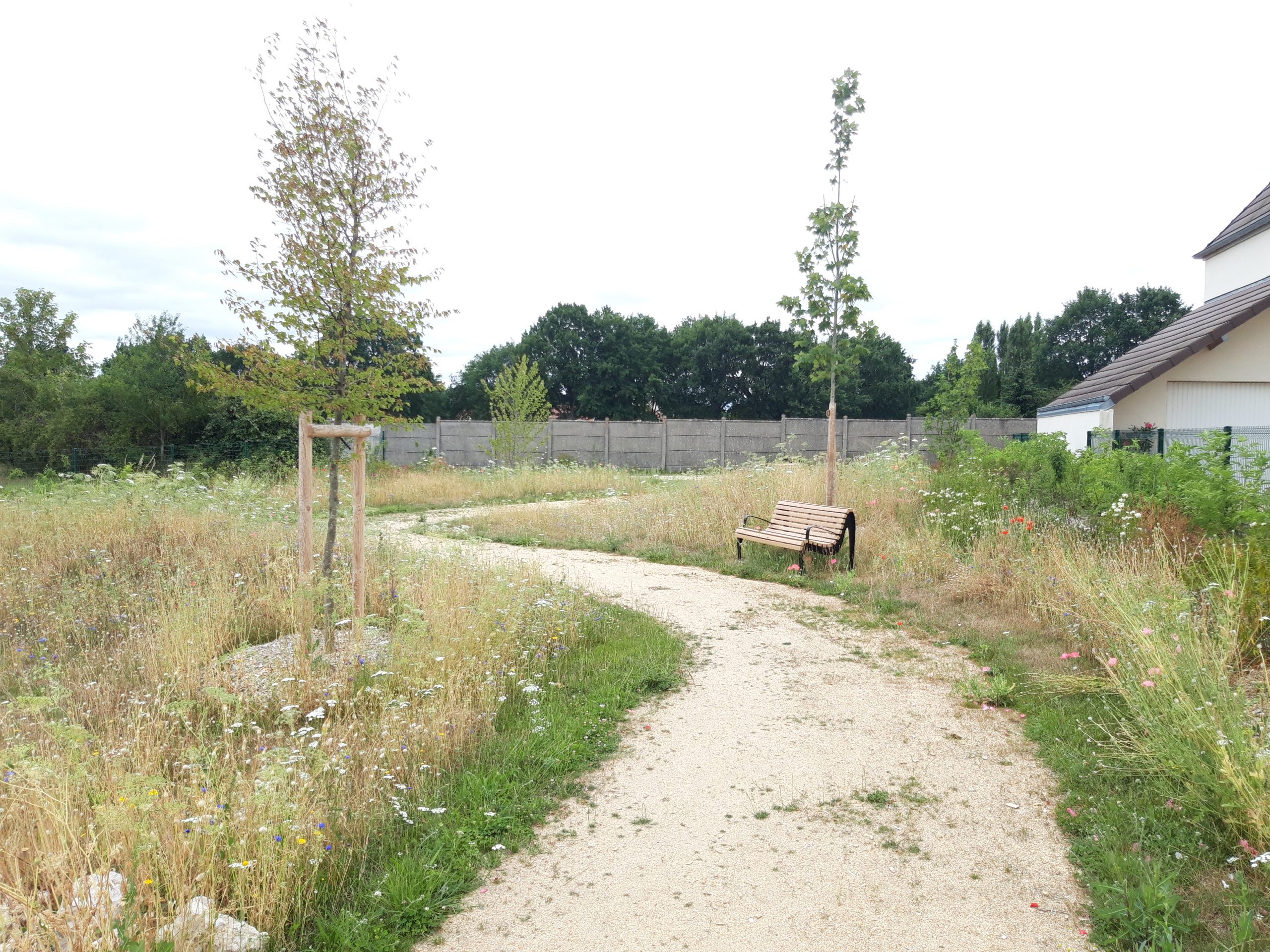 centre-ville de Villemandeur (45),requalification stationnements,route départementale,renaturation,aménagement paysager